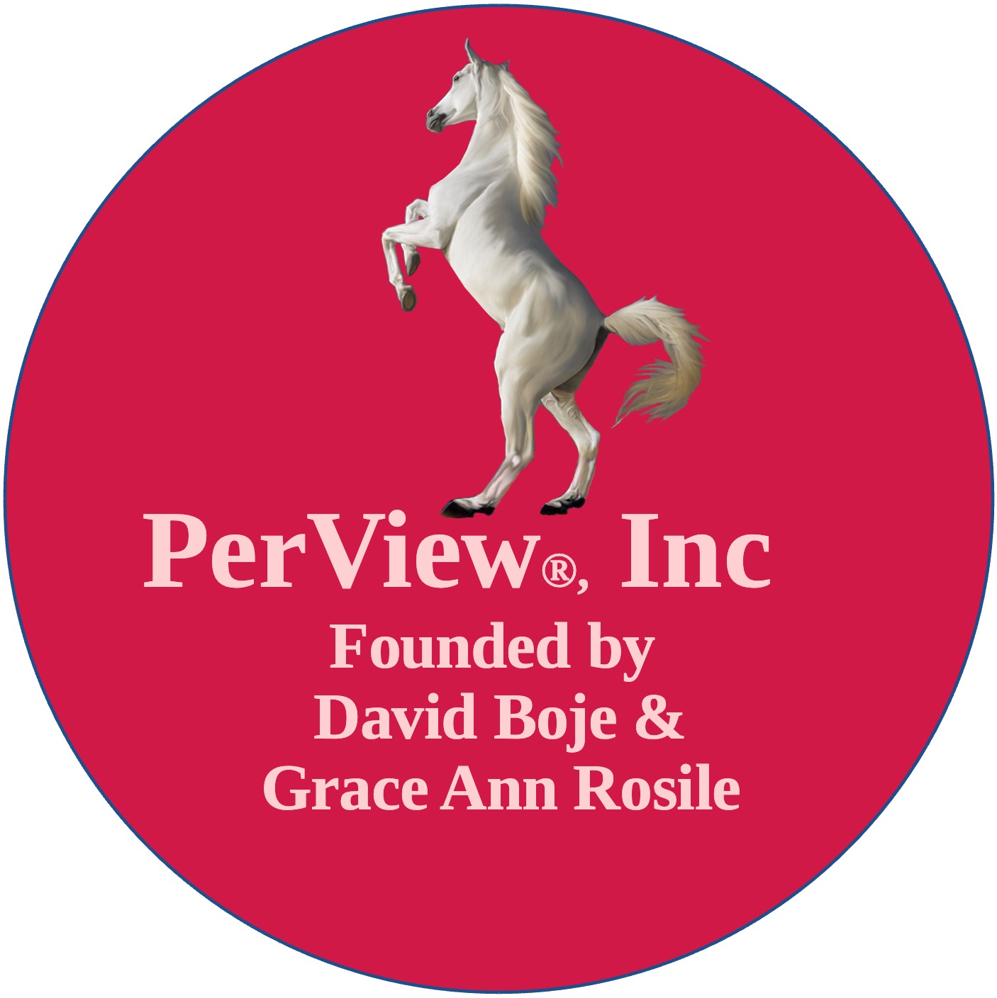 Our PERVIEW Inc Non Profit Logo